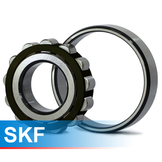 N304ECP SKF Cylindrical Roller Bearing 20x52x15 (mm)